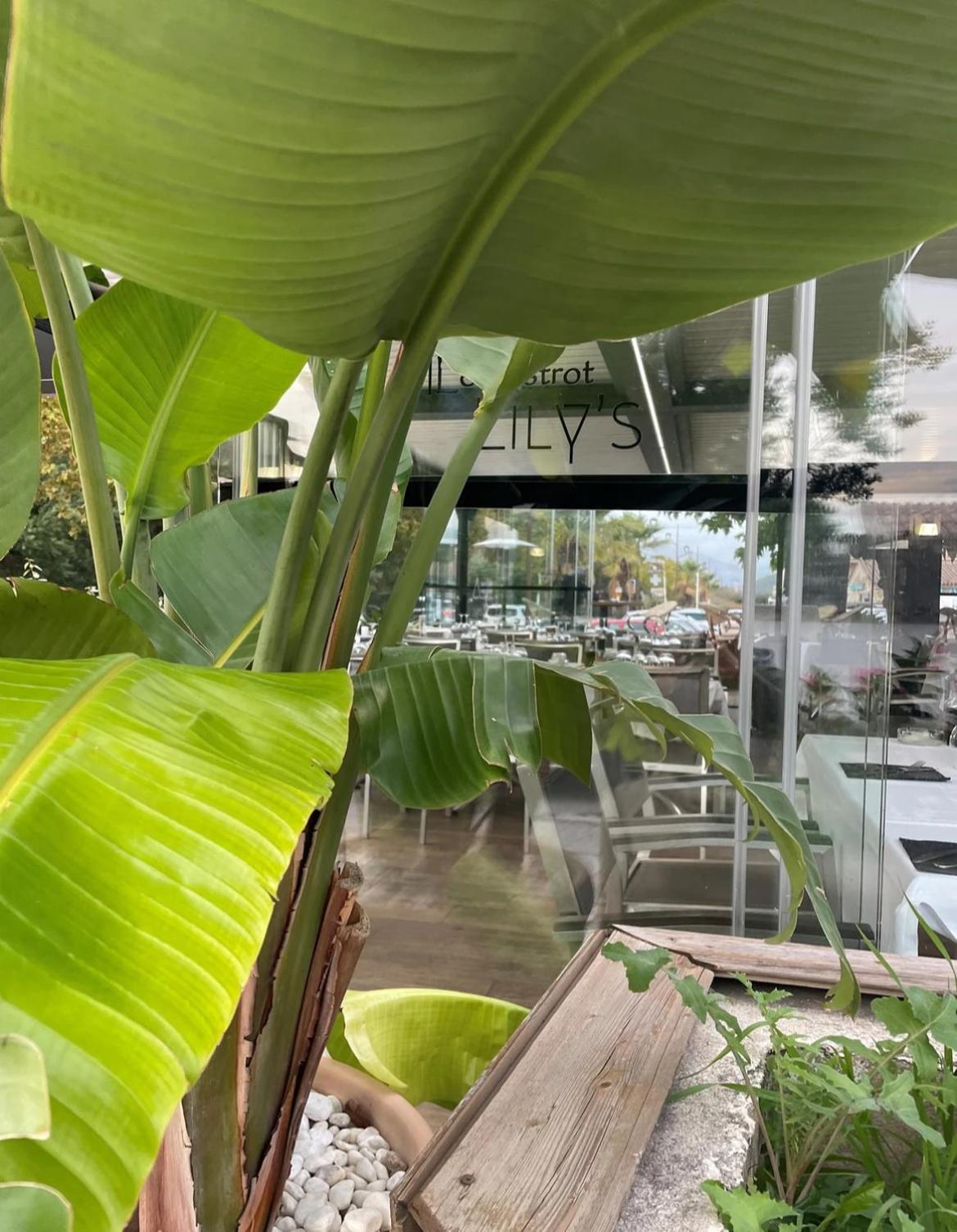 Studio 28 M2 Porticcio Centre 外观 照片